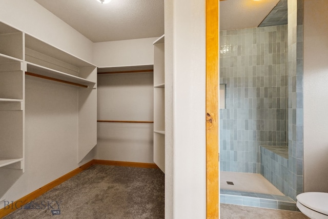 74 W Clara Ct, Bozeman, MT 59718 - walk in closet featuring carpet