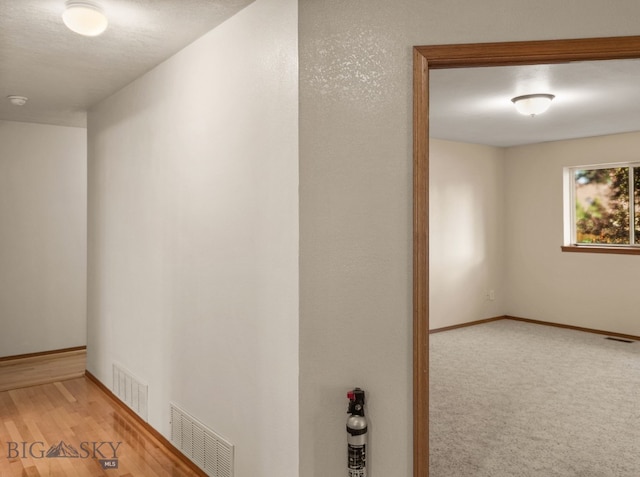 3455 W Cascade, Bozeman, MT 59718 - hall with baseboards