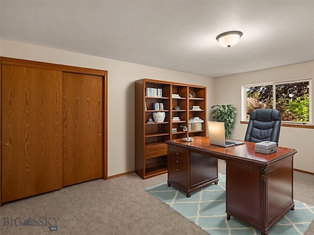 3455 W Cascade, Bozeman, MT 59718 - office area with light colored carpet and baseboards