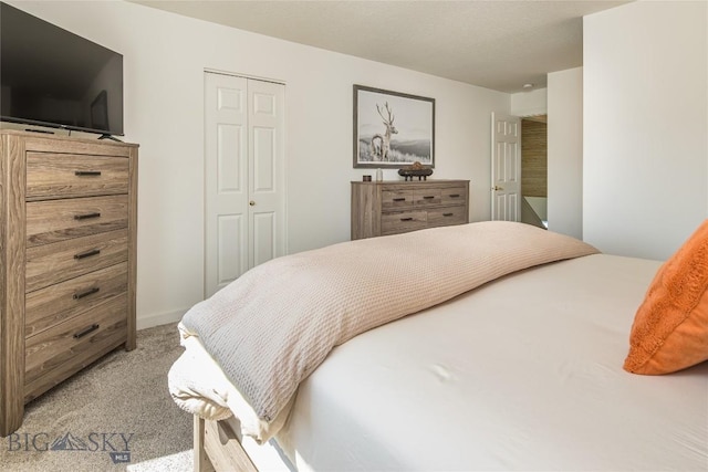 344 Candlelight Meadow Dr, Big Sky, MT 59716 - carpeted bedroom featuring a closet