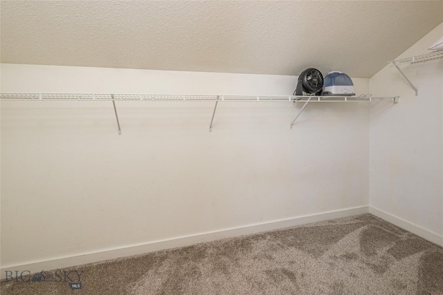 344 Candlelight Meadow Dr, Big Sky, MT 59716 - spacious closet with carpet