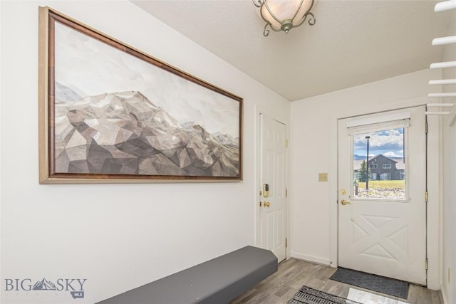 344 Candlelight Meadow Dr, Big Sky, MT 59716 - entrance foyer with light wood-type flooring and baseboards
