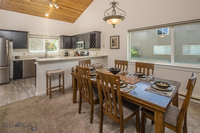 344 Candlelight Meadow Dr, Big Sky, MT 59716 - dining space featuring wooden ceiling, light carpet, high vaulted ceiling, and a baseboard radiator