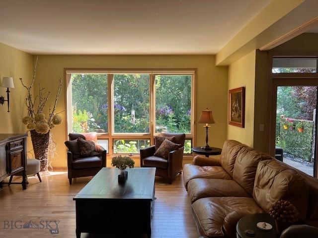 3 Gallatin Unit B, Bozeman, MT 59718 - living room featuring light wood-style floors