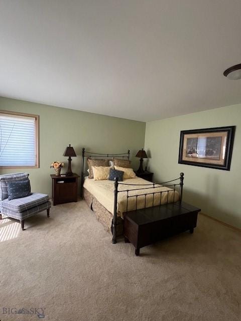 3 Gallatin Unit B, Bozeman, MT 59718 - view of carpeted bedroom
