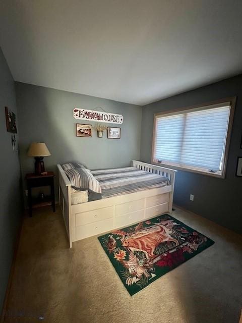 3 Gallatin Unit B, Bozeman, MT 59718 - view of carpeted bedroom