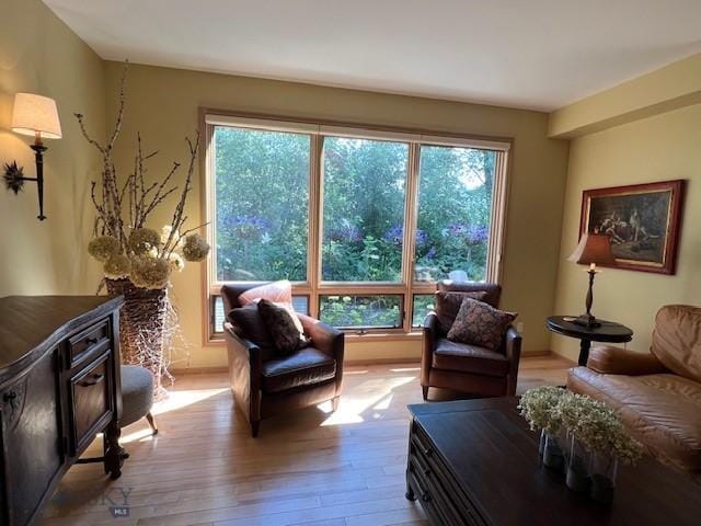 3 Gallatin Unit B, Bozeman, MT 59718 - living room featuring hardwood / wood-style floors