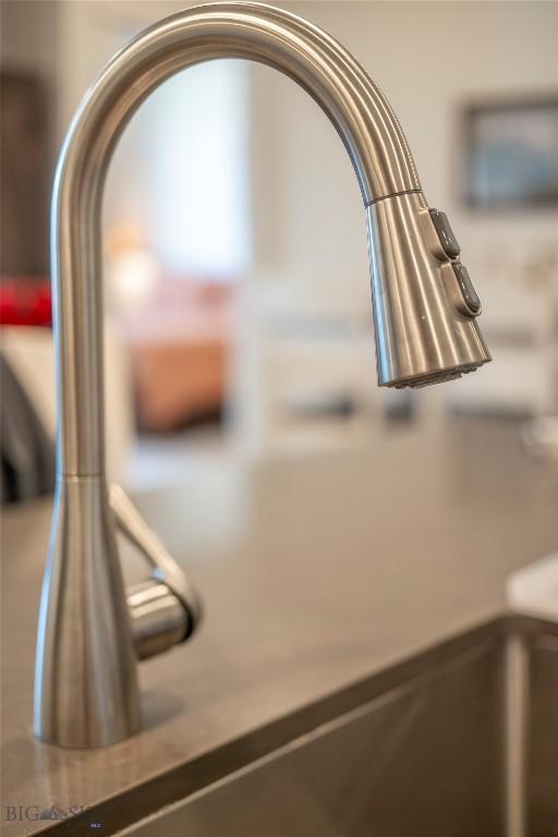 2221D Willow Dr Unit 128, Livingston, MT 59047 - detailed view of a sink