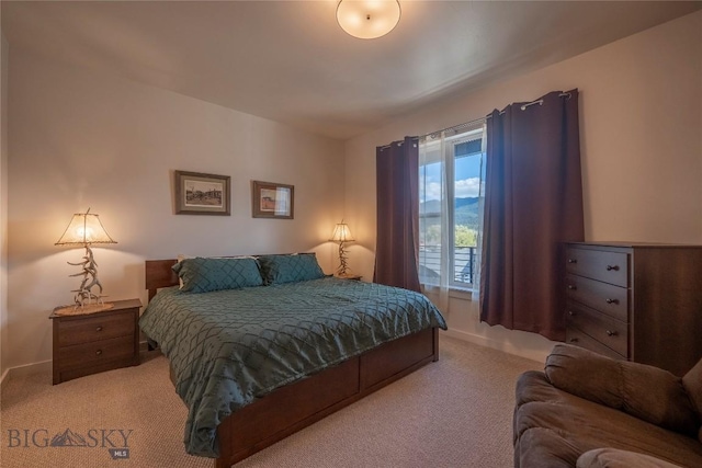 2221D Willow Dr Unit 128, Livingston, MT 59047 - bedroom with light colored carpet and baseboards