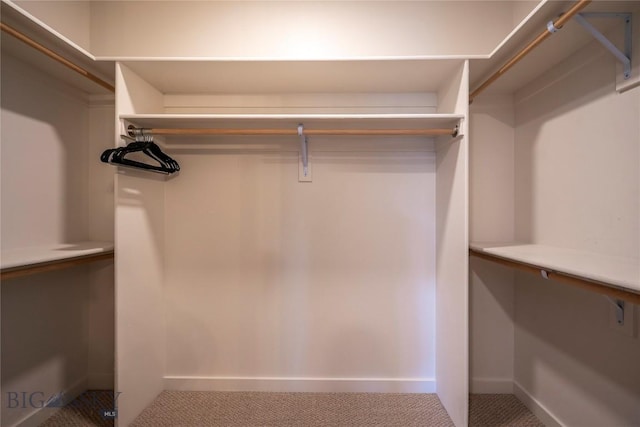 2221D Willow Dr Unit 128, Livingston, MT 59047 - view of walk in closet