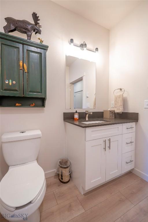 2221D Willow Dr Unit 128, Livingston, MT 59047 - bathroom featuring vanity and wood finished floors