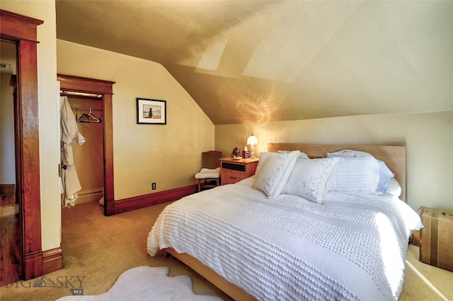 716 W Pine St, Missoula, MT 59802 - carpeted bedroom with vaulted ceiling and a spacious closet