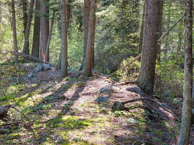TBD Deep Creek Rd, Livingston, MT 59047