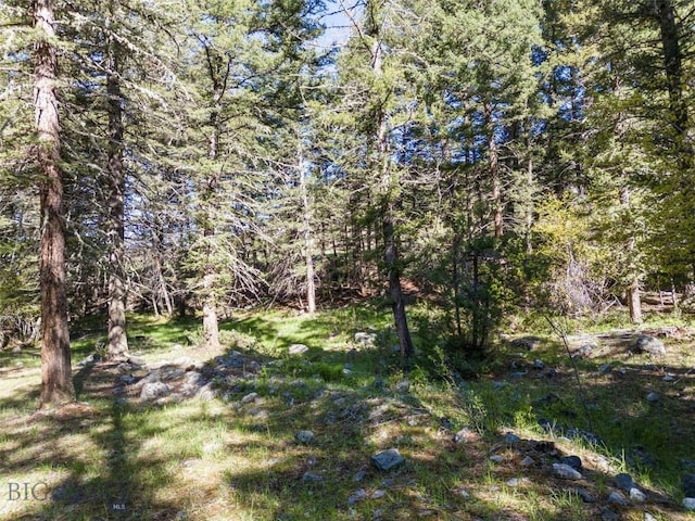 TBD Deep Creek Rd, Livingston, MT 59047