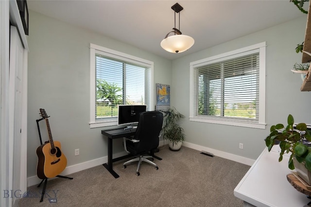 3090 Meah Ln, Bozeman, MT 59718 - office space featuring carpet and baseboards