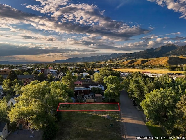 411 N Plum, Bozeman, MT 59715