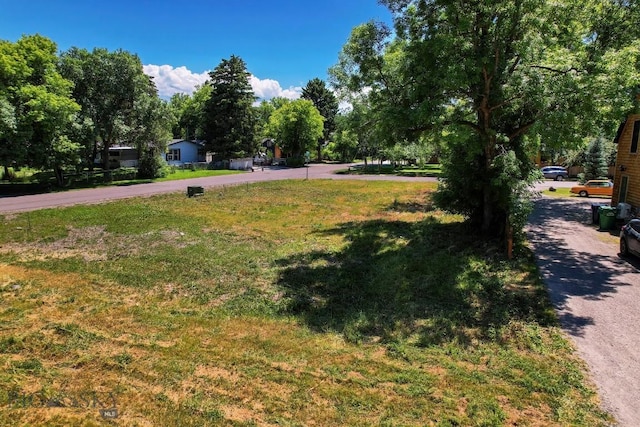 411 N Plum, Bozeman, MT 59715