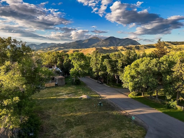 411 N Plum, Bozeman, MT 59715
