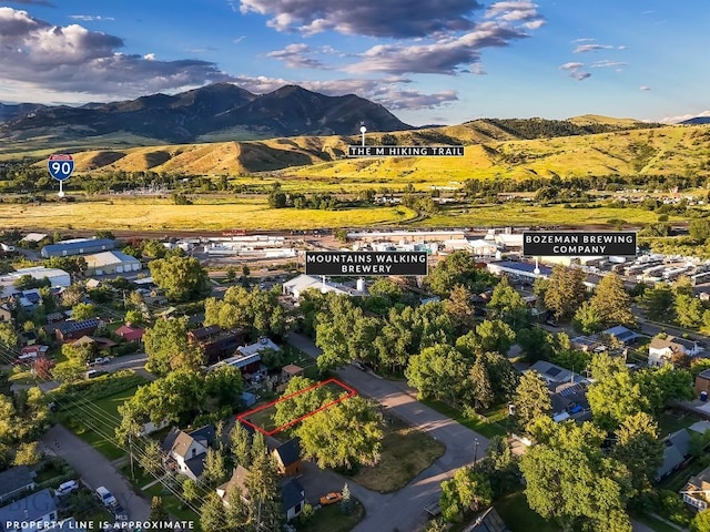 411 N Plum, Bozeman, MT 59715