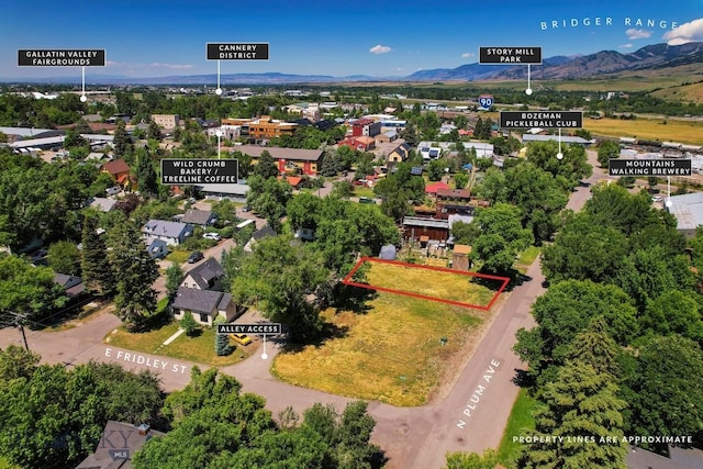 411 N Plum, Bozeman, MT 59715