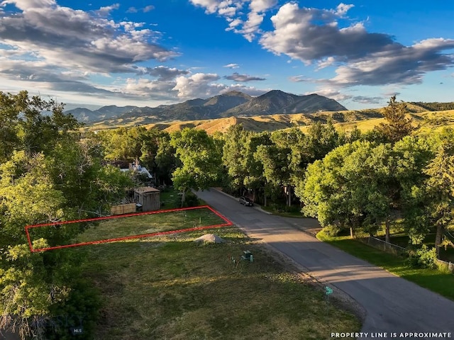 411 N Plum, Bozeman, MT 59715