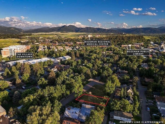 411 N Plum, Bozeman, MT 59715