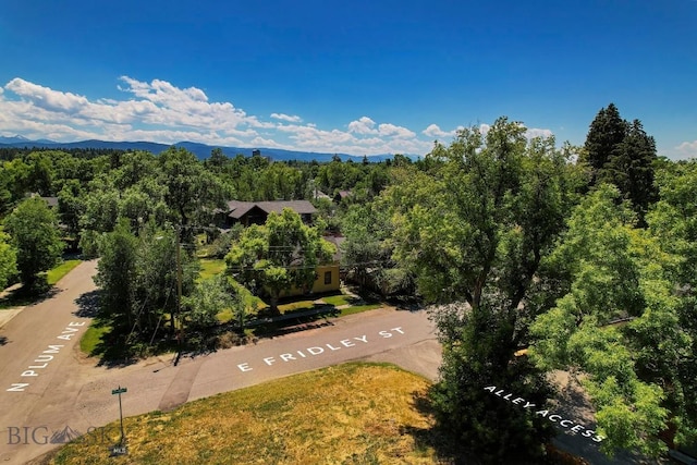 709 E Fridley, Bozeman, MT 59715