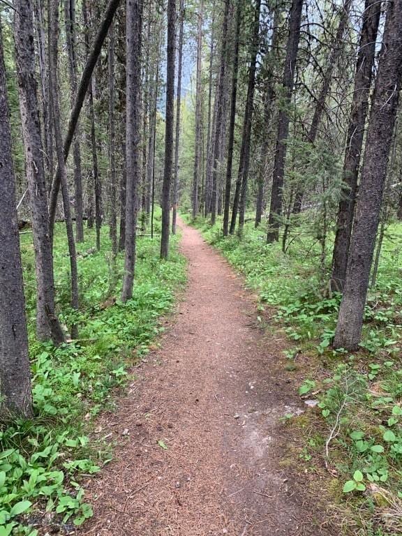 58 Upper Moose Hill Rd, Big Sky, MT 59716 - view of road featuring a wooded view