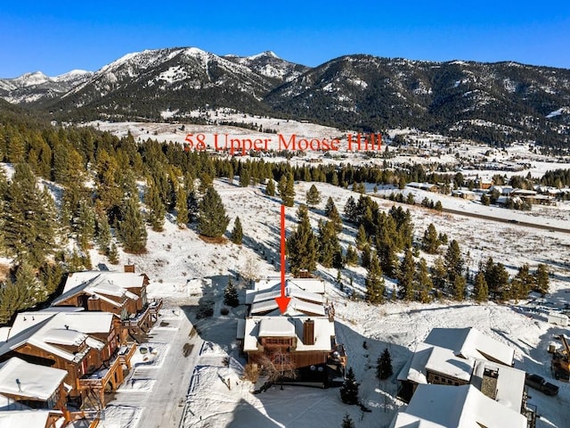 58 Upper Moose Hill Rd, Big Sky, MT 59716 - mountain view