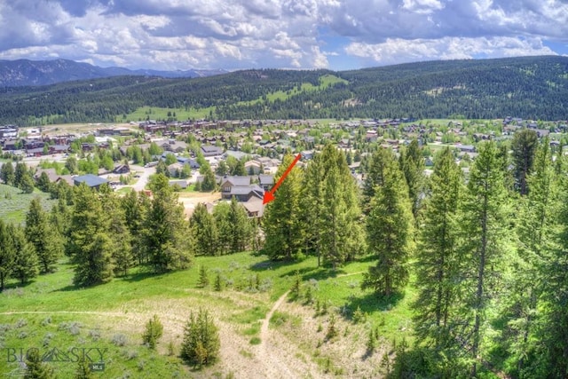58 Upper Moose Hill Rd, Big Sky, MT 59716 - photo 66