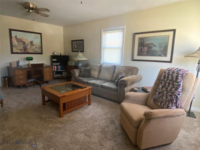 1120 A St, Butte, MT 59701 - view of carpeted living area