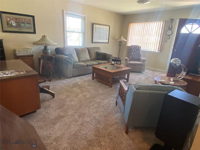 1120 A St, Butte, MT 59701 - living room with carpet flooring