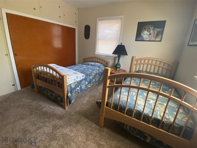 1120 A St, Butte, MT 59701 - view of carpeted bedroom