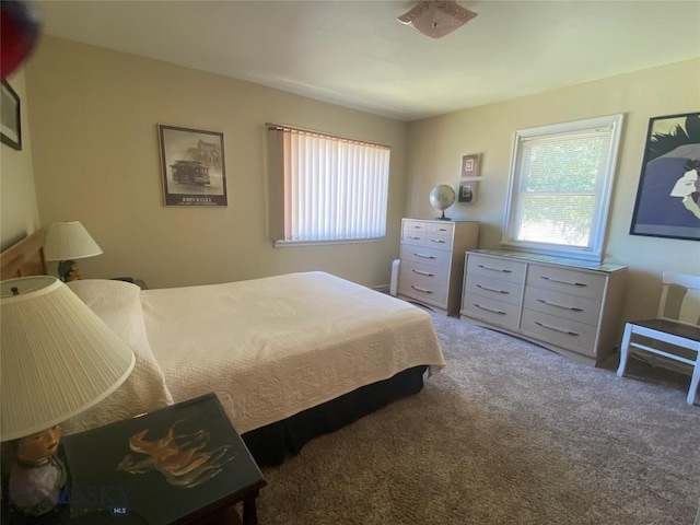 1120 A St, Butte, MT 59701 - view of carpeted bedroom