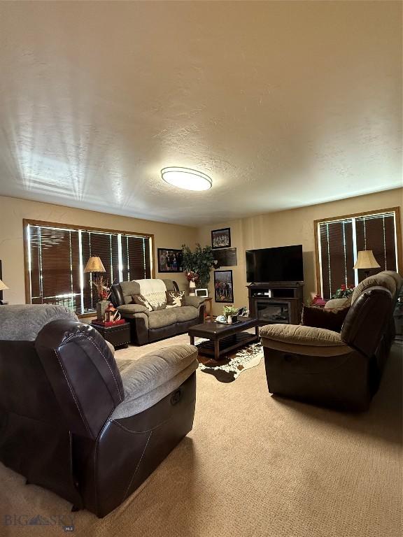 19970 Mt Highway 91 N, Glen, MT 59732 - living area featuring carpet flooring