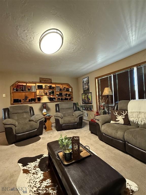 19970 Mt Highway 91 N, Glen, MT 59732 - living room with carpet floors and a textured ceiling