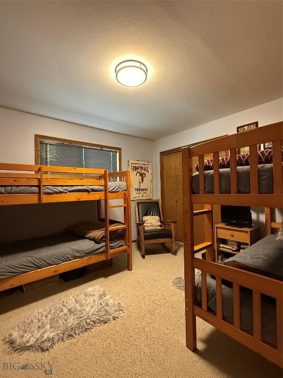 19970 Mt Highway 91 N, Glen, MT 59732 - bedroom with carpet flooring and a textured ceiling