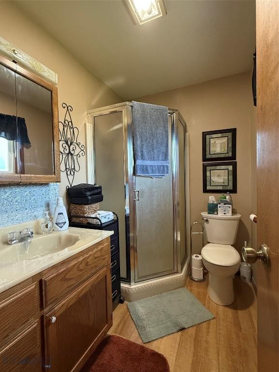 19970 Mt Highway 91 N, Glen, MT 59732 - bathroom with wood finished floors, vanity, a shower stall, and decorative backsplash