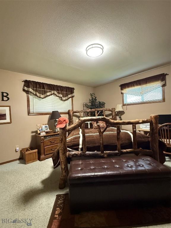 19970 Mt Highway 91 N, Glen, MT 59732 - bedroom featuring a textured ceiling and carpet flooring