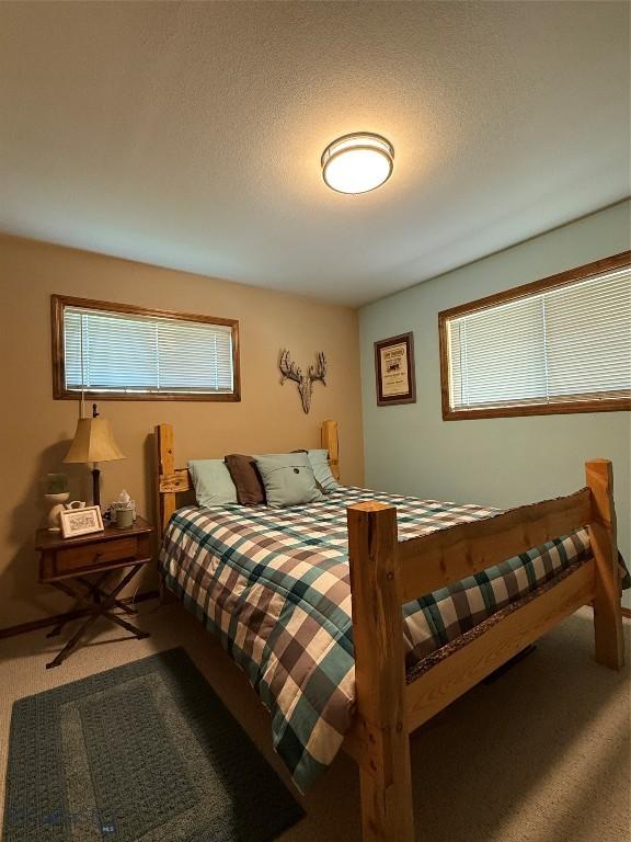 19970 Mt Highway 91 N, Glen, MT 59732 - bedroom featuring carpet floors and a textured ceiling