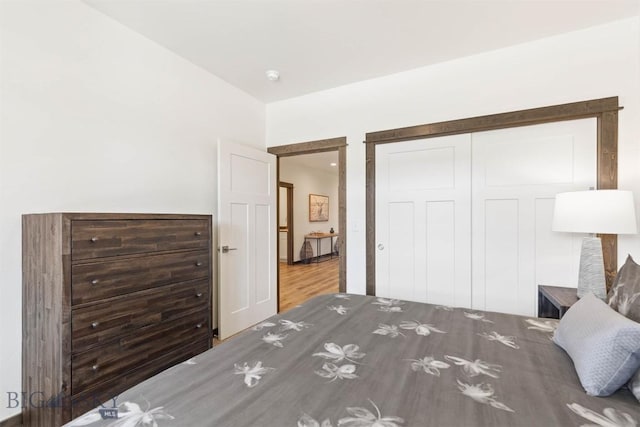205 Albrey Trl Unit B, Bozeman, MT 59718 - bedroom with wood finished floors and a closet