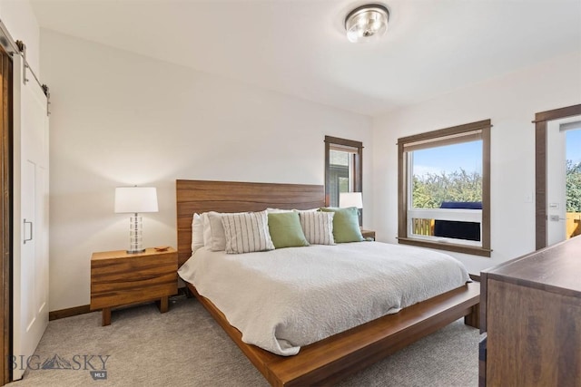 205 Albrey Trl Unit B, Bozeman, MT 59718 - bedroom with light colored carpet and a barn door