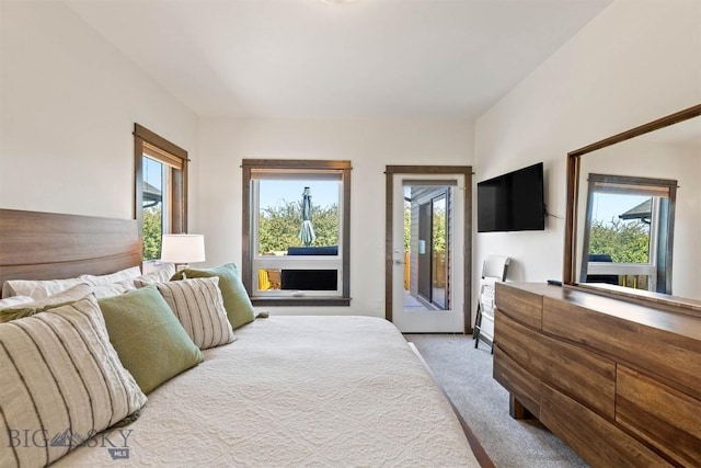 205 Albrey Trl Unit B, Bozeman, MT 59718 - bedroom featuring access to exterior, multiple windows, and light colored carpet