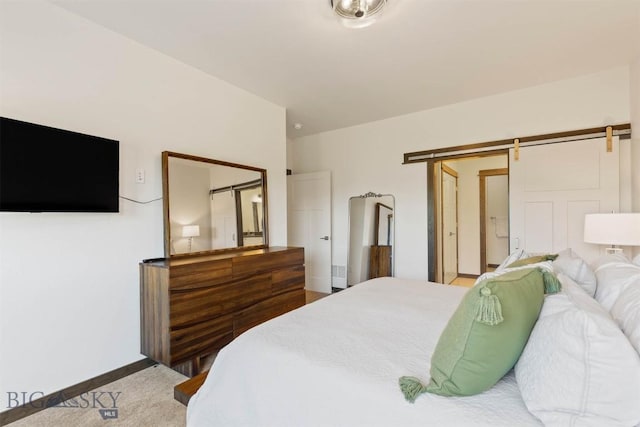 205 Albrey Trl Unit B, Bozeman, MT 59718 - bedroom with a barn door and baseboards