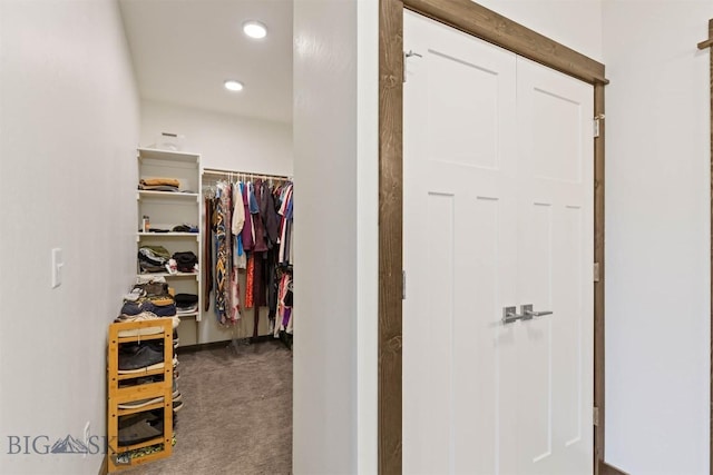 205 Albrey Trl Unit B, Bozeman, MT 59718 - walk in closet featuring carpet floors