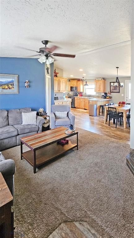 950 N Harrison St, Lima, MT 59739 - living room with a textured ceiling, light wood-style flooring, and ceiling fan
