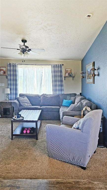 950 N Harrison St, Lima, MT 59739 - living room featuring a textured ceiling and a ceiling fan