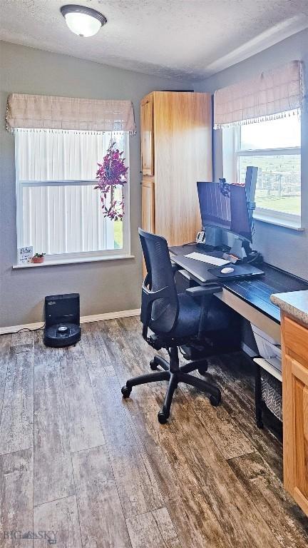950 N Harrison St, Lima, MT 59739 - home office featuring hardwood / wood-style floors and a textured ceiling