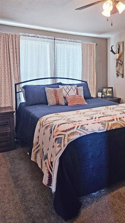 950 N Harrison St, Lima, MT 59739 - bedroom with carpet floors and ceiling fan