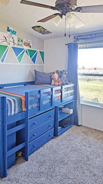 950 N Harrison St, Lima, MT 59739 - playroom with carpet floors, a ceiling fan, and a textured ceiling